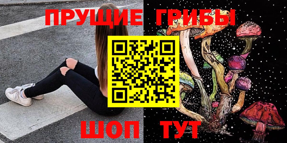 Галлюциногенные грибы Psilocybine cubensis Клинцы