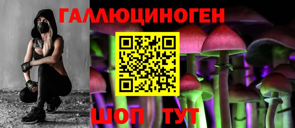 Клинцы  Галлюциногенные грибы MAGIC MUSHROOMS  Вход с VPN  Галлюциногенные грибы MAGIC MUSHROOMS 